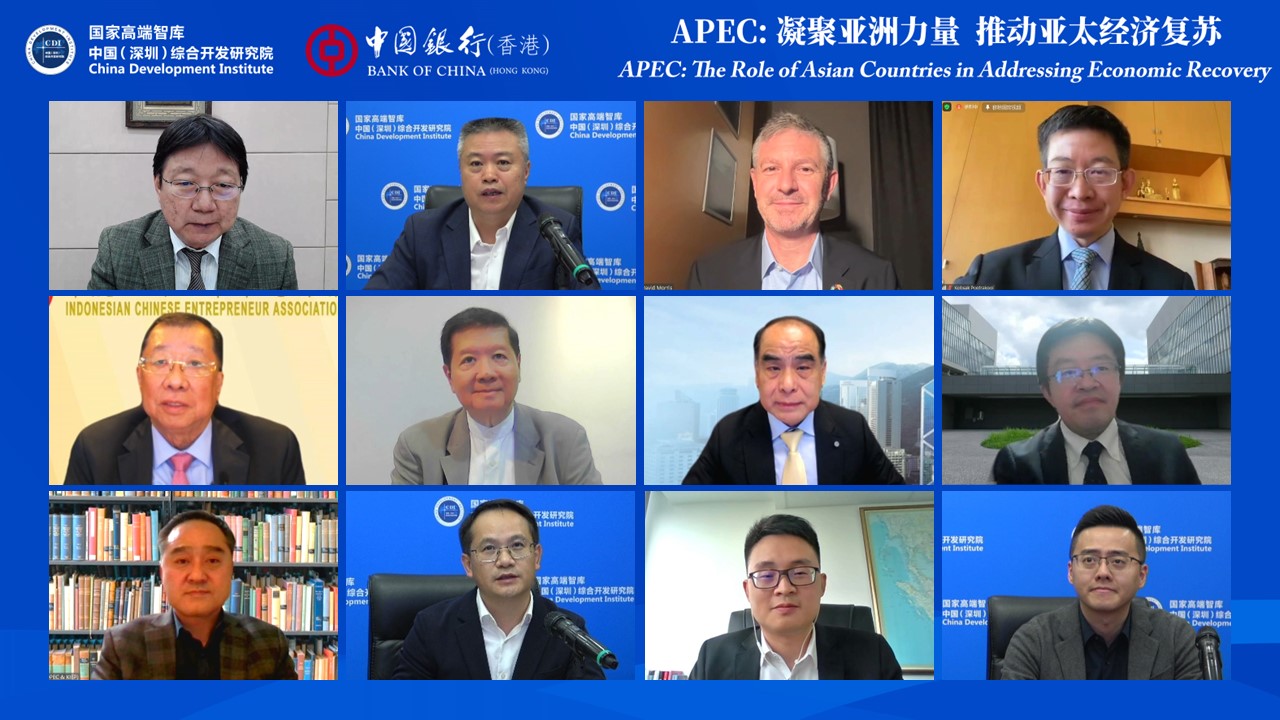 Webinar on APEC: The Role of Asian Countries in Addressing Economic Recovery
