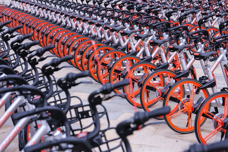 Two Competitors to Survive in Bike Sharing Capital Battles