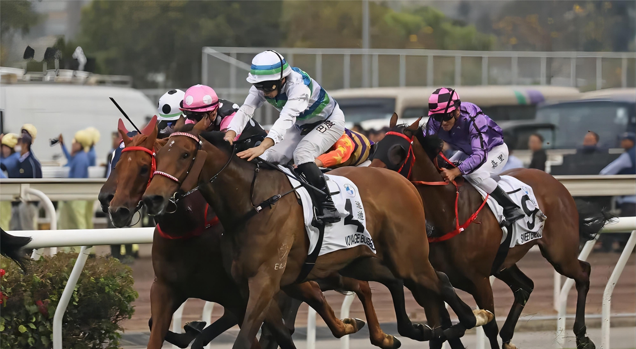 Equine Industry Cooperation Between Guangzhou and Hong Kong - A Case Study of Institutional Innovation in the Guangdong–Hong Kong–Macao Greater Bay Area