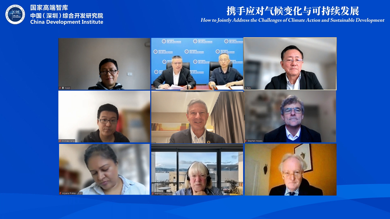 Pacific Islands Cooperation Webinar - How to Jointly Address the Challenges of Climate Action and Sustainable Development