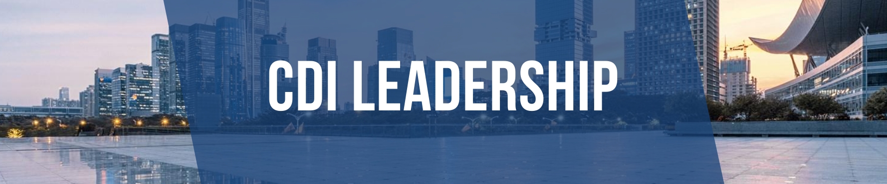Leadership