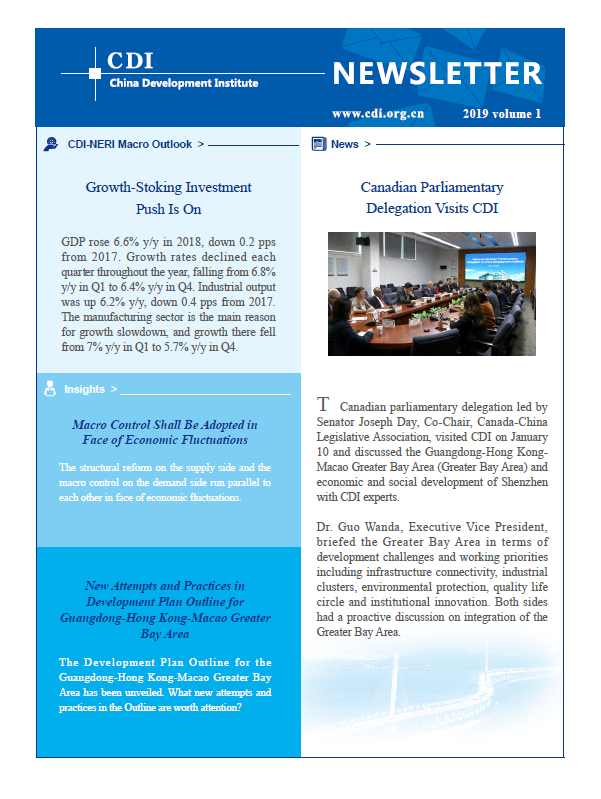 CDI Newsletter 2019 Vol 1
