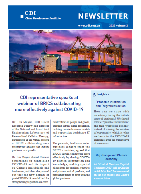 CDI Newsletter 2020 Vol 2